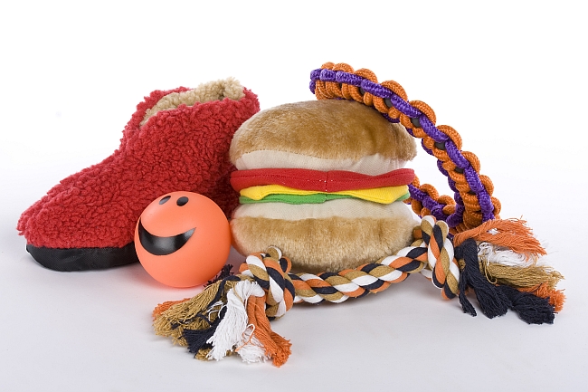 Best Senior Dog Toys - Fun for Your Old Dog