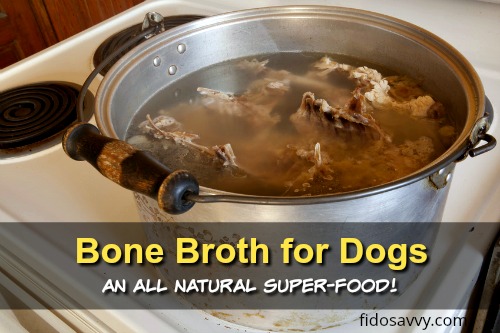 beef bone broth for dogs