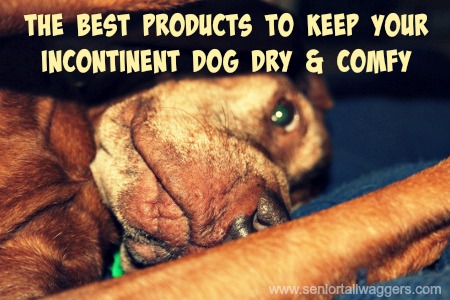 Best dog incontinence products