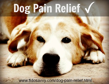 best pain reliever for dogs over the counter