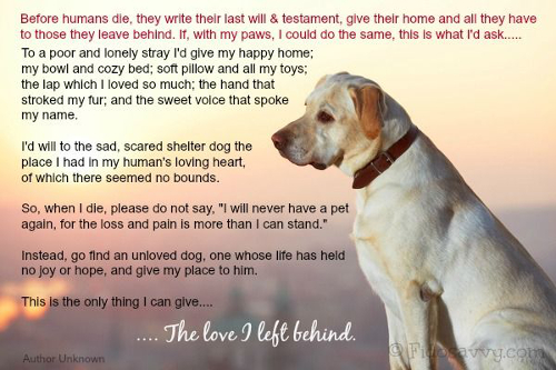 Dog quote. A dog's last will & testament.